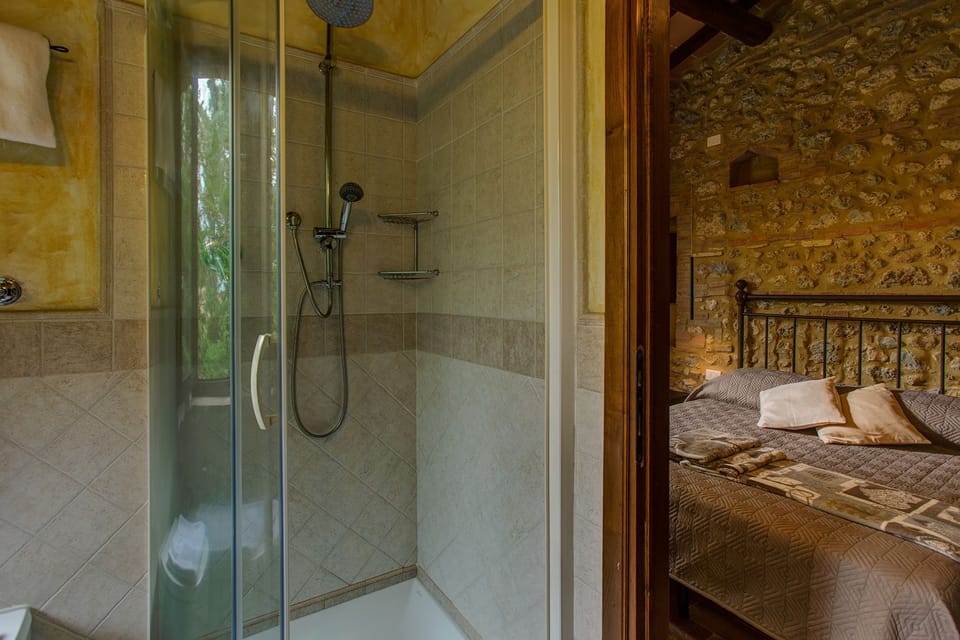 Double Room Single Use | Bathroom | Shower, free toiletries, hair dryer, bidet