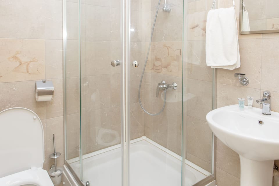 Standard Double or Twin Room | Bathroom | Shower, hair dryer, slippers, towels