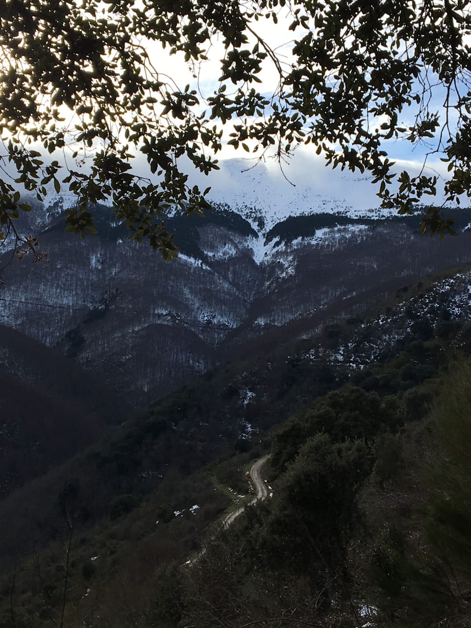 Mountain view