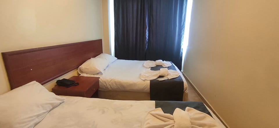 Standard Triple Room, 1 Bedroom, Non Smoking, City View | Minibar, iron/ironing board, free WiFi, bed sheets