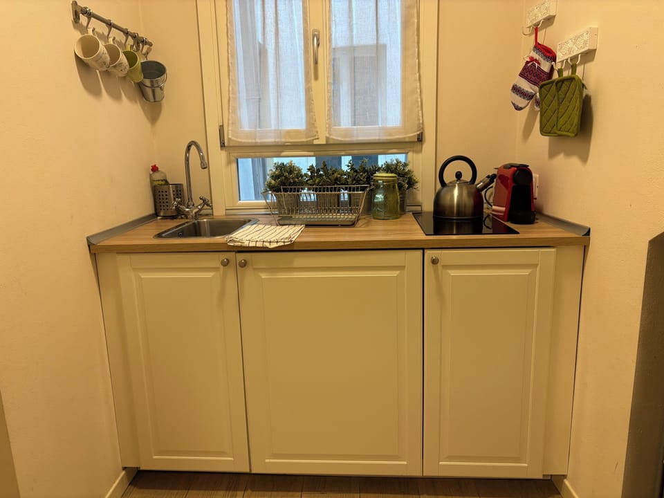Classic Apartment, 1 Bedroom | Private kitchenette | Full-size fridge, stovetop, cookware/dishes/utensils