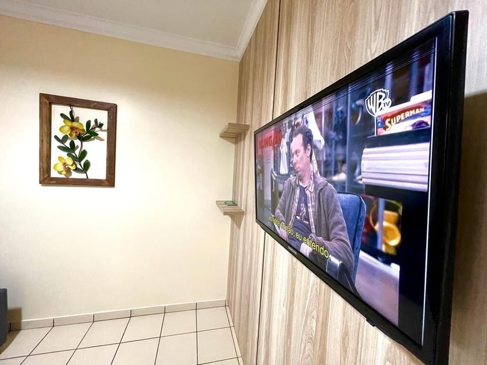 Television