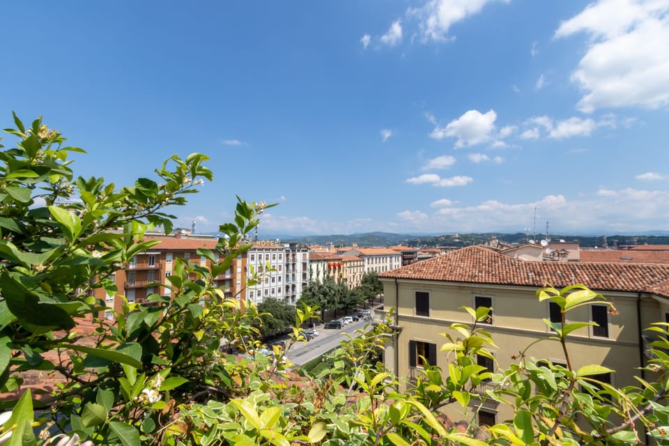 Classic Apartment, 1 Bedroom | City view