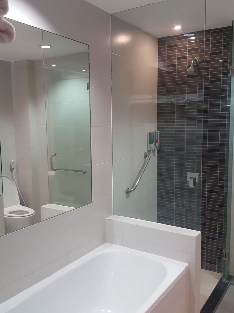 Room (VIP) | Bathroom | Shower