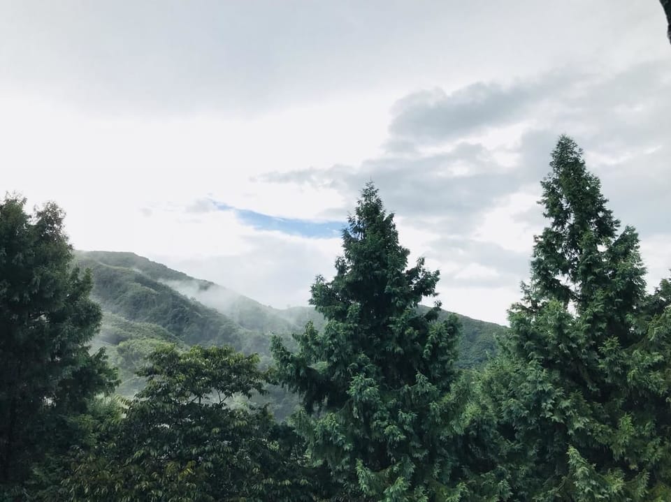 Mountain view