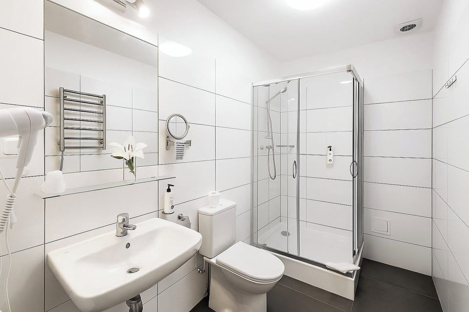 Deluxe Twin Room | Bathroom | Hair dryer, towels