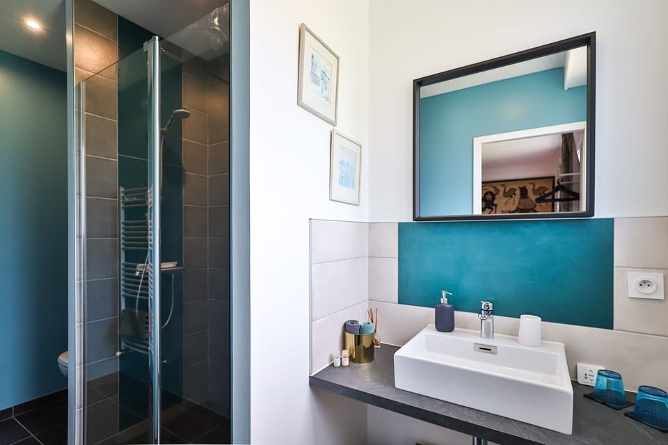 Double Room (Rouge) | Bathroom shower