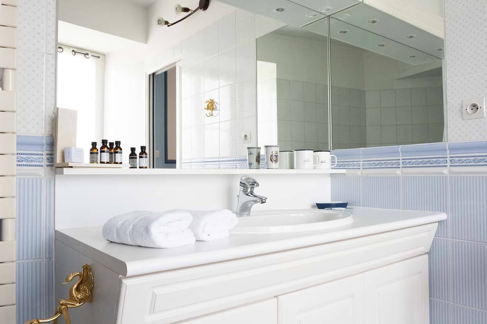 Suite | Bathroom | Shower, rainfall showerhead, free toiletries, hair dryer