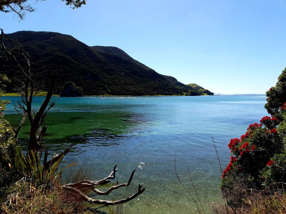 Houhora Heads
15 Minute drive from property 