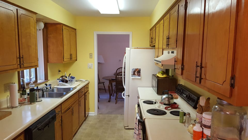 dishwasher, toaster, lrg. fridge w/ice maker, coffee maker/press,  cooking needs