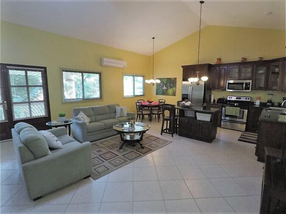 Large open concept living room / kitchen