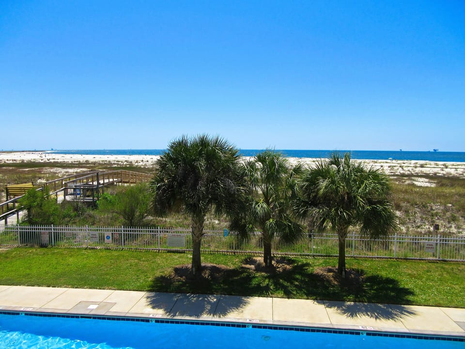 View of palms and beach