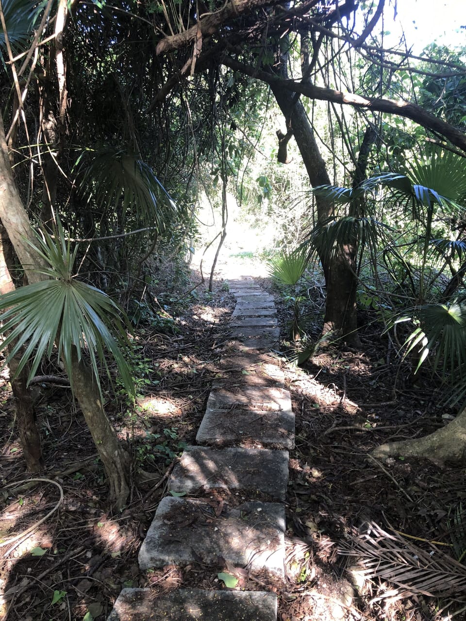 Path to swimming pools