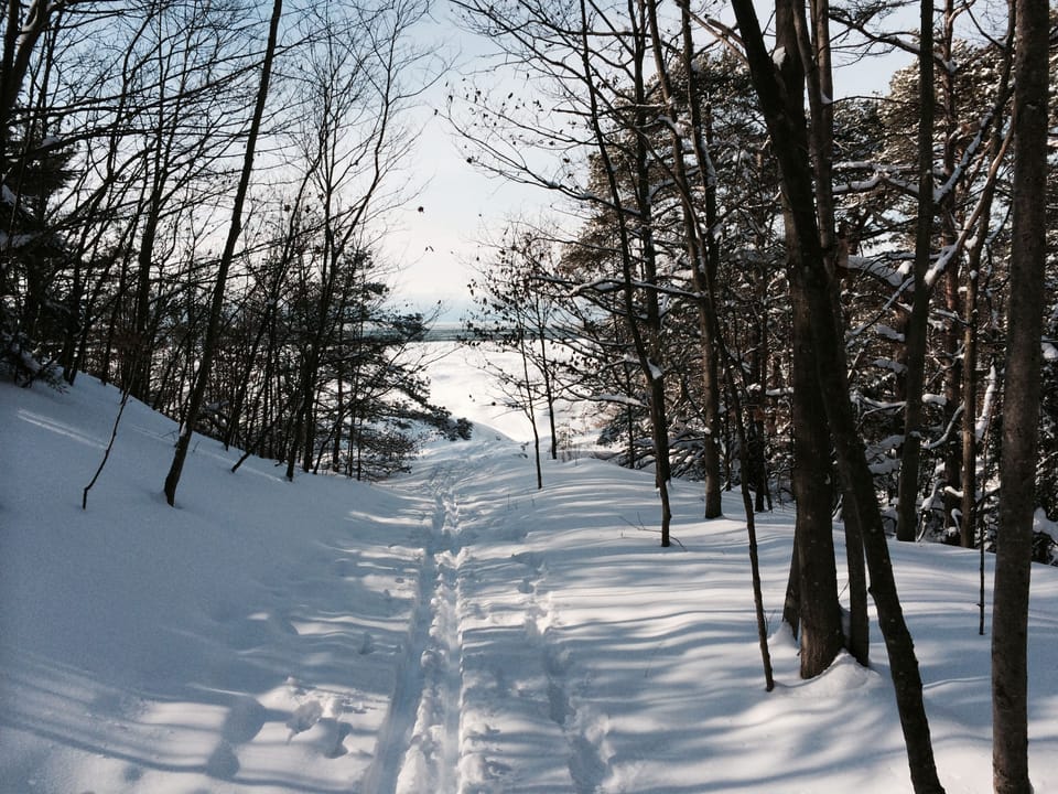 Saugatuck Dunes State Park has miles of cross-country ski trails to enjoy!