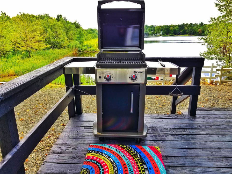Propane grill
