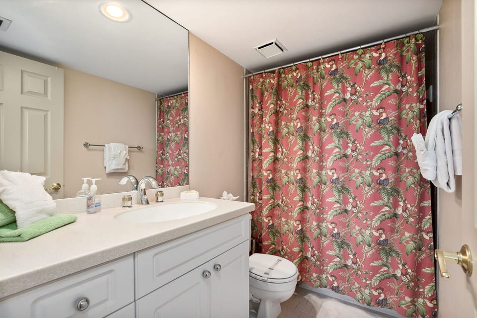 Guest bathroom