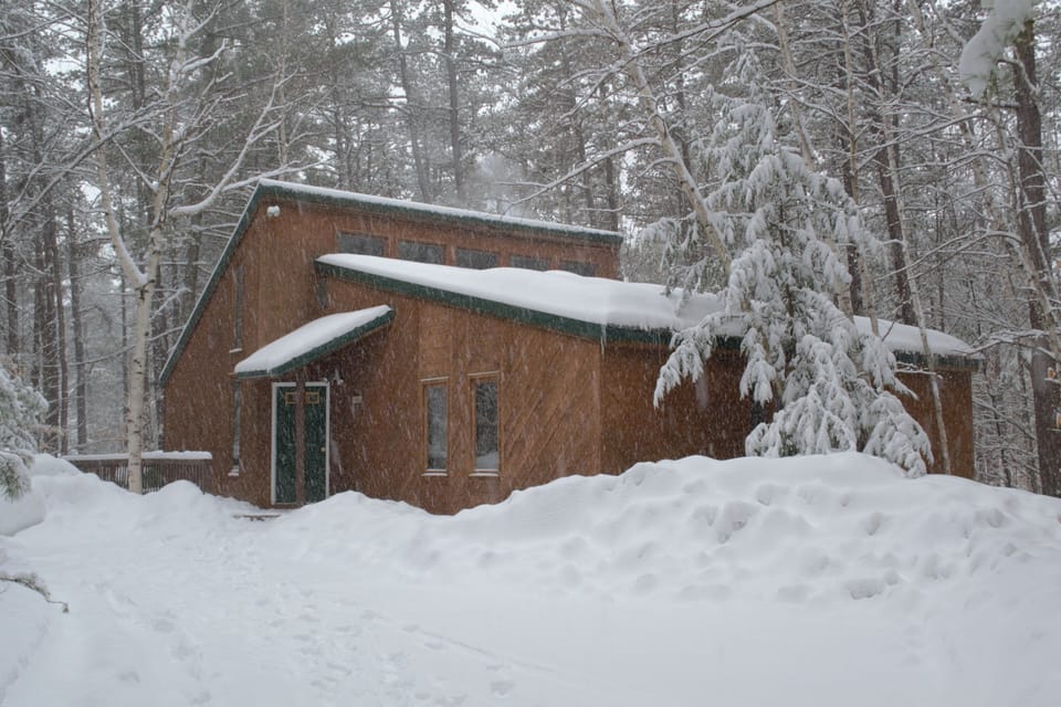 Winter wonderland