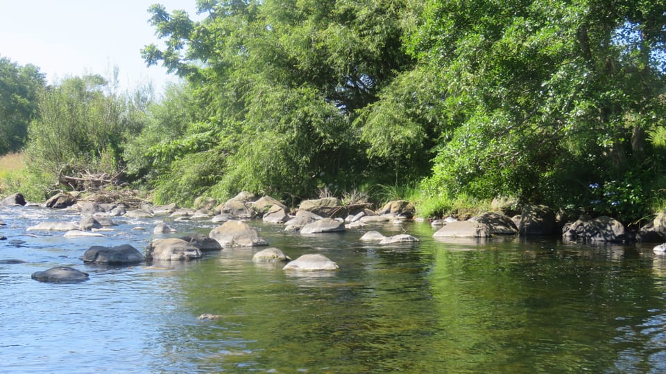 Whaongana River on property for a walk swim picnic or just relax in the hammock.