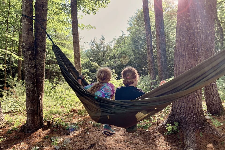 Take a swing in the hammock under the pines. 