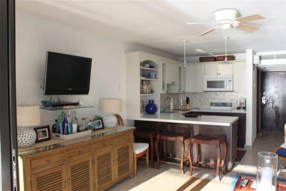 Photo of kitchen and entertainment area
