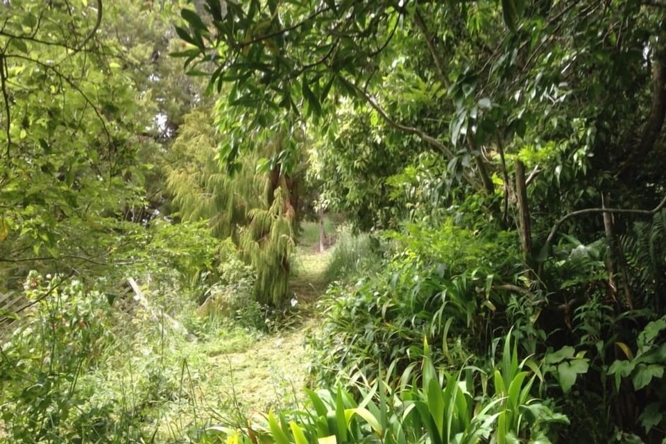 Through garden up path to top of section