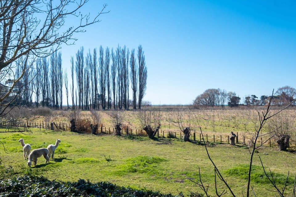 country views to sea