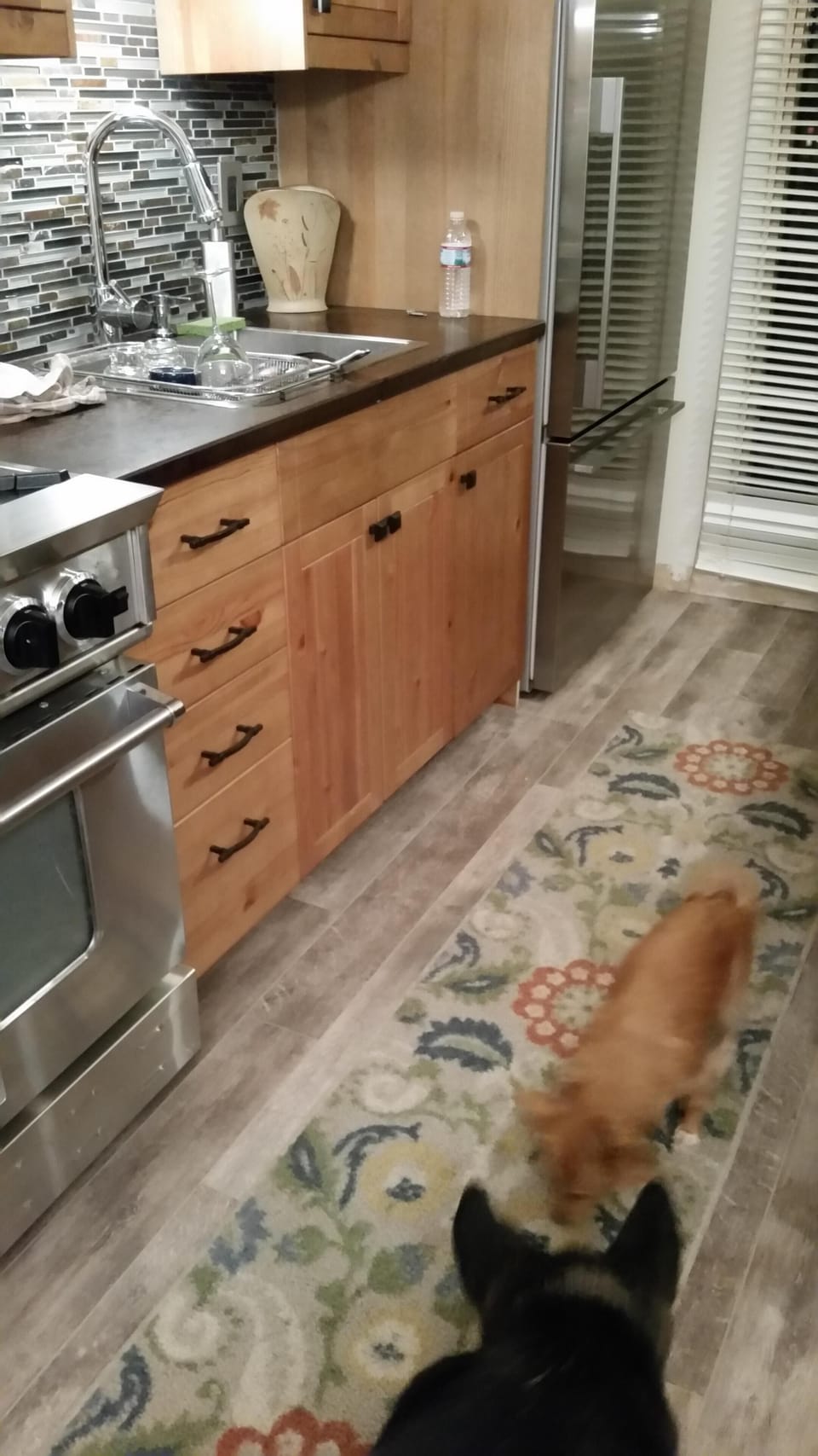 Our pooches playing in the kitchen with new floors :-)
