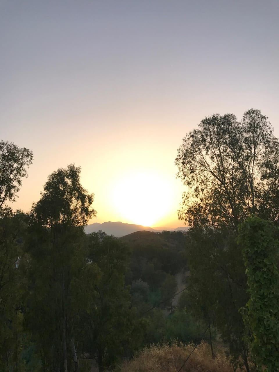 Summer sunset from upper terrace