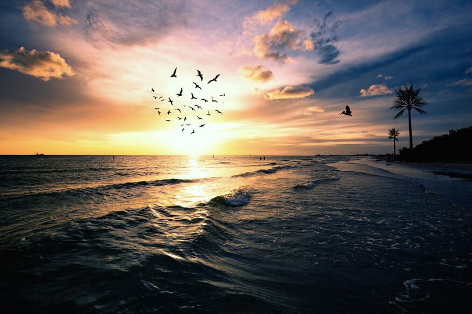 Beach View