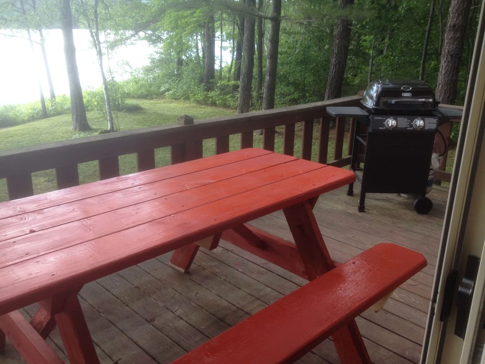 new grill and picnic table