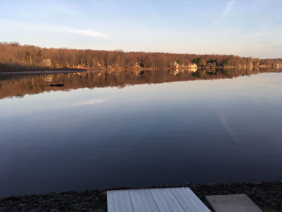 View from the water's edge