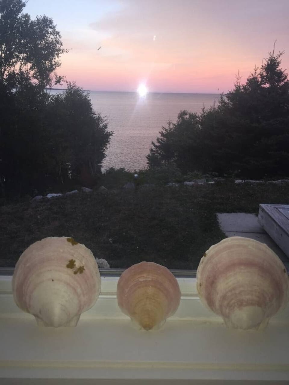 Sunrise from bed