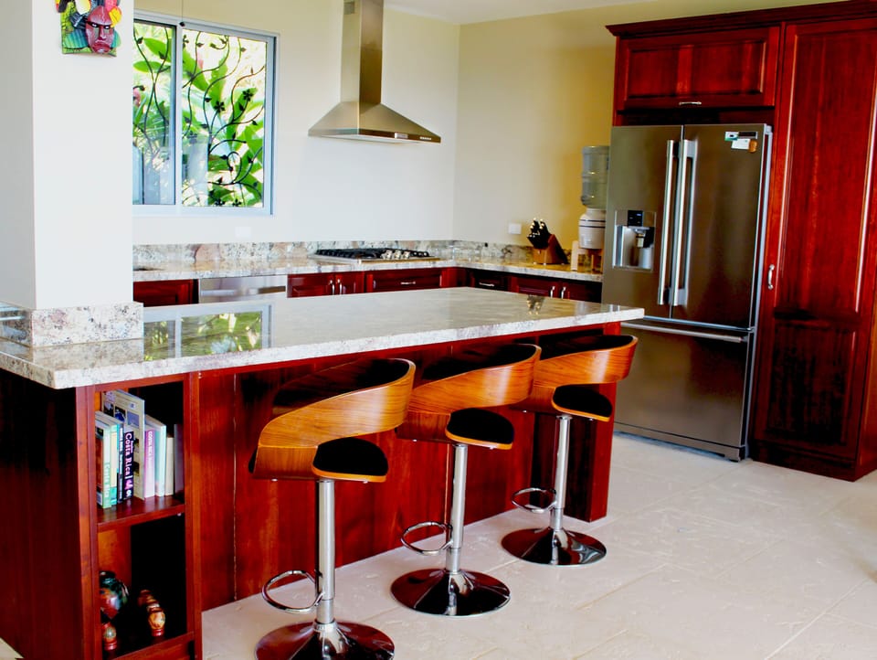 Kitchen counter and Fridge area