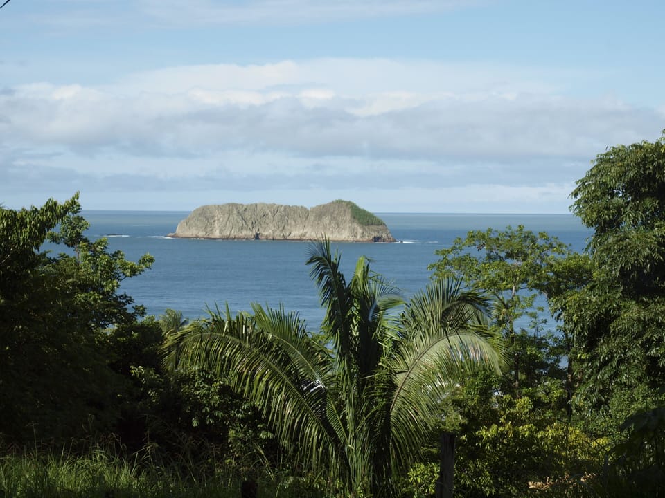 elephant rock