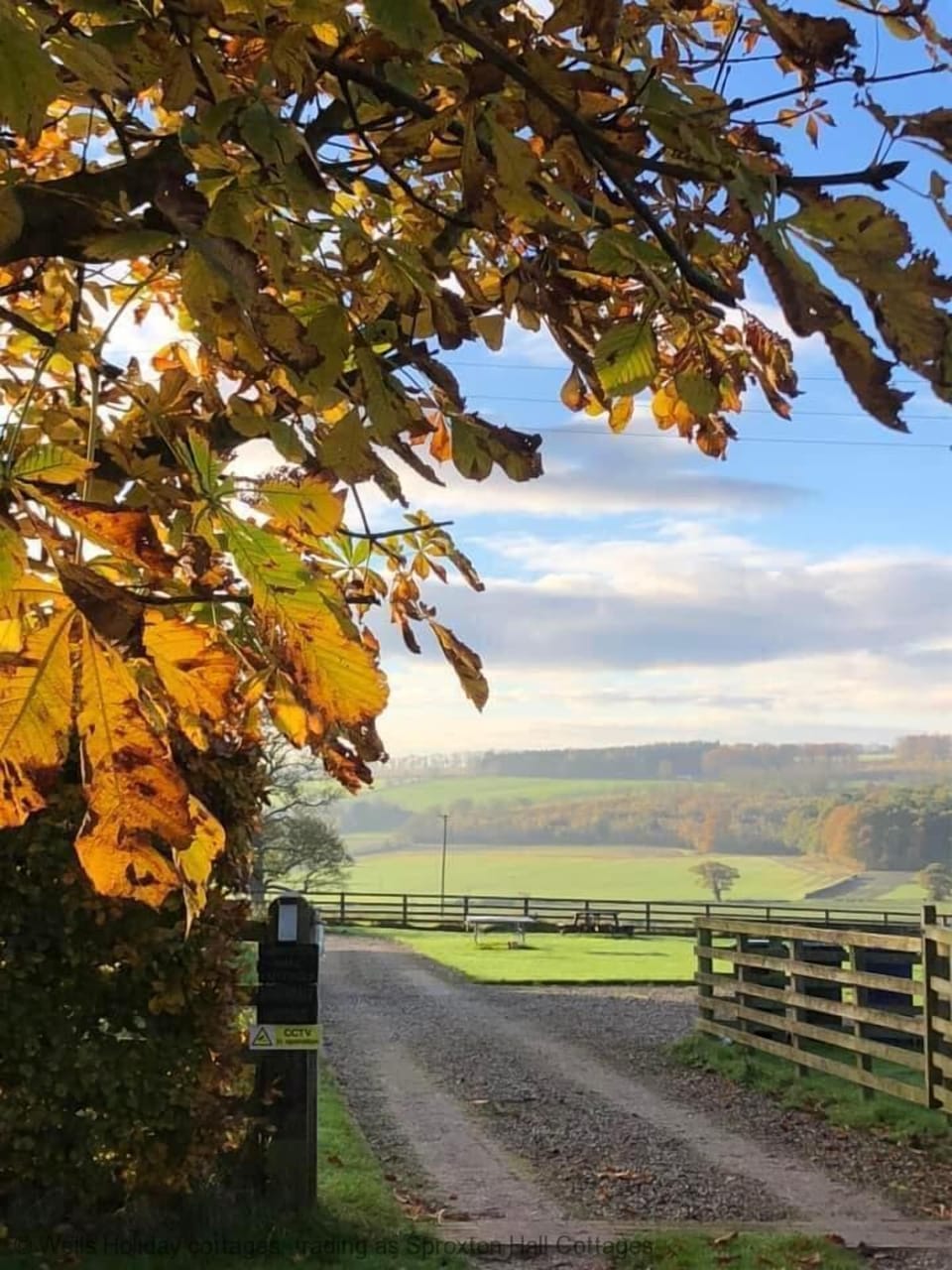 Arriving in autumn
