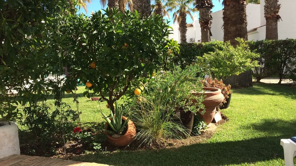 View from patio at the back