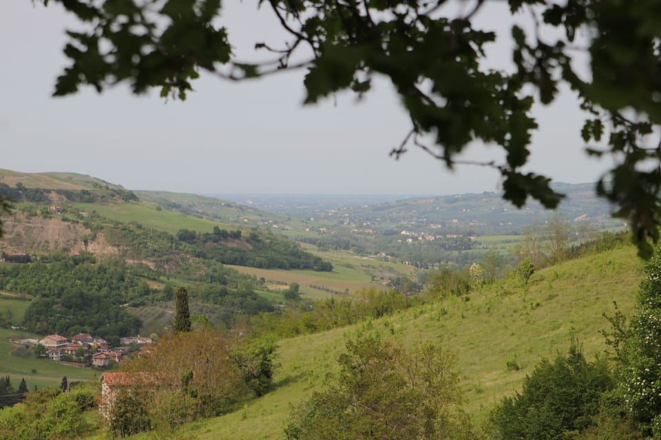 FANTASTIC RURAL HOUSE IN FULL RELAXATION IN THE HILLS WITH SWIMMING POOL House in Emilia-Romagna