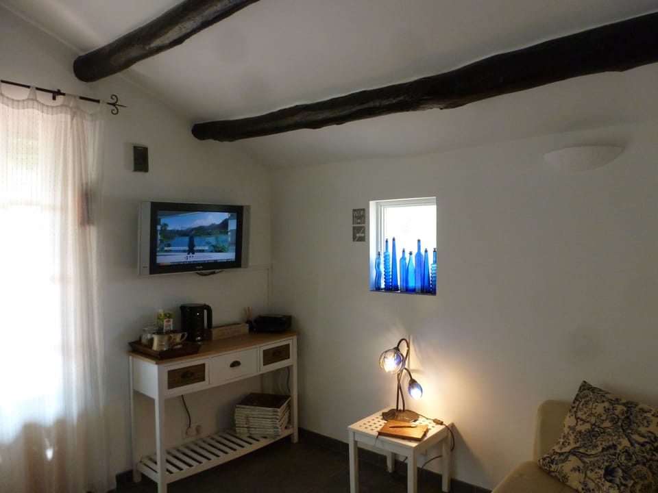 TV with HDMI cable to connect to your ipad or phone.