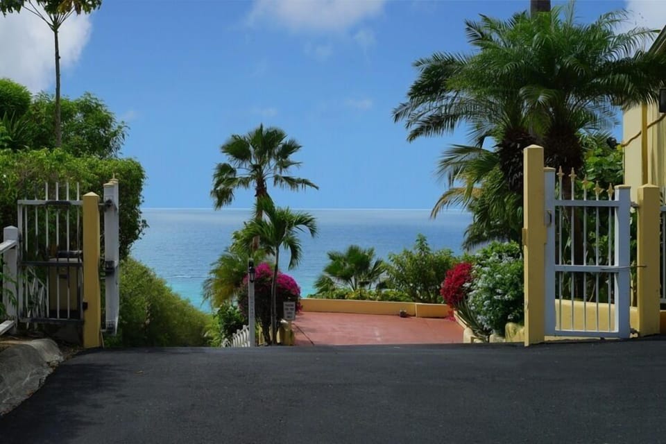 Villa Madeleine's view from the gated entrance