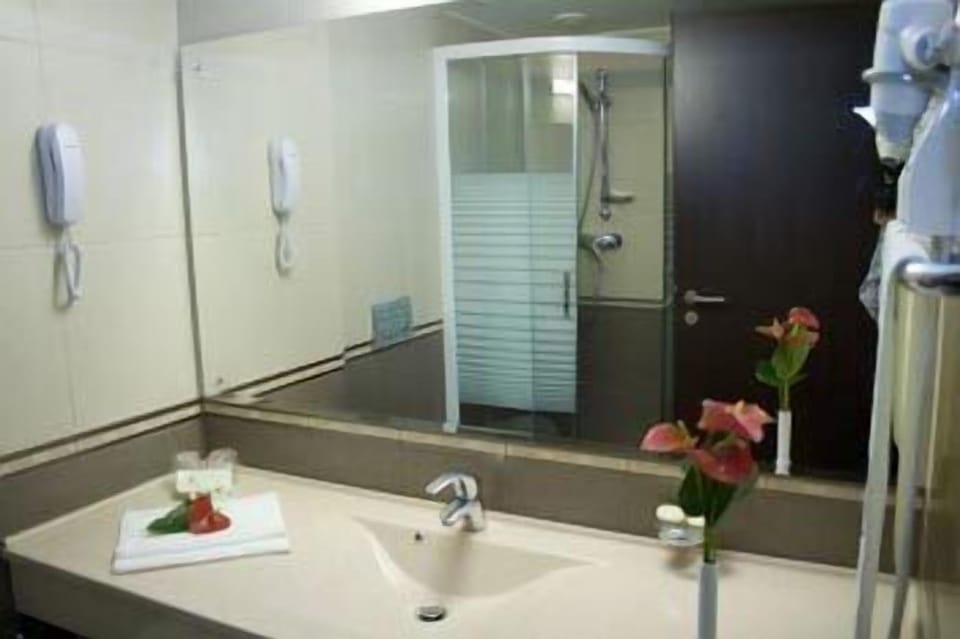 Deluxe Double or Twin Room | Bathroom | Shower, free toiletries, hair dryer, towels
