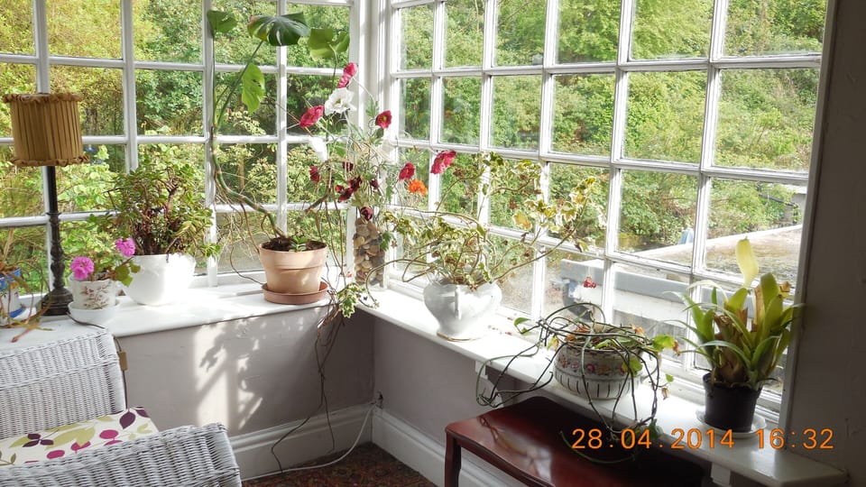 Another view of sun room, which overlooks Tom's courtyard and our woodland