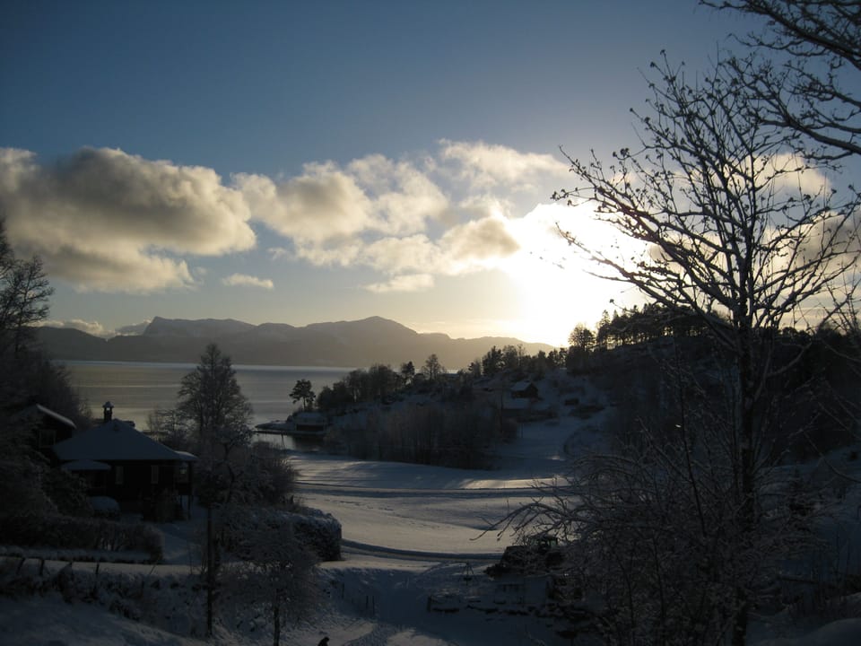 Cozy three-bedroom cottage located on a working farm by the stunning BjornaFjord House in Vestland