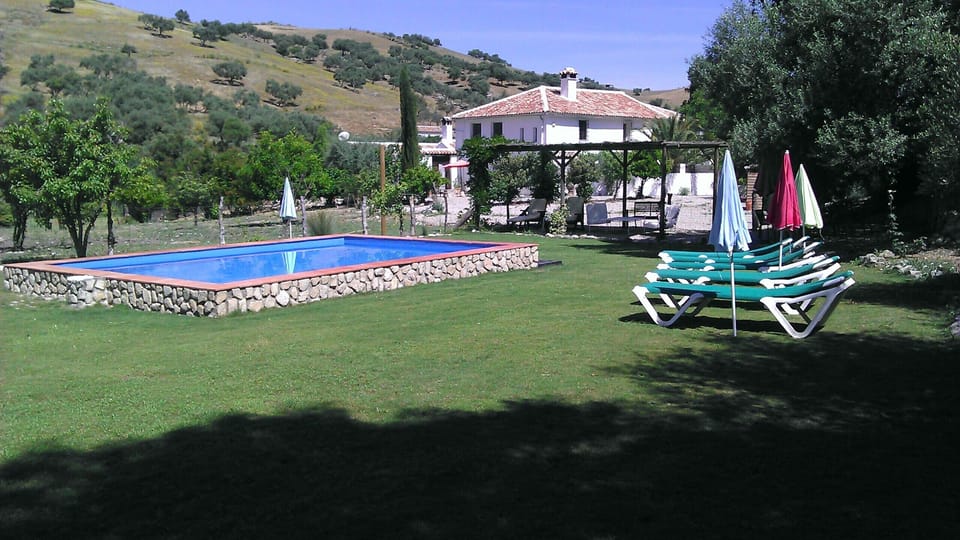 The pool has 300 m of Bermuda grass, good for family with kids.
Wire fenced.