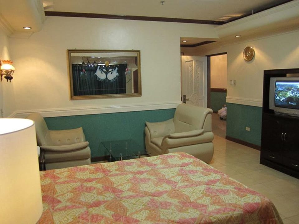 Executive Room | Minibar, free WiFi
