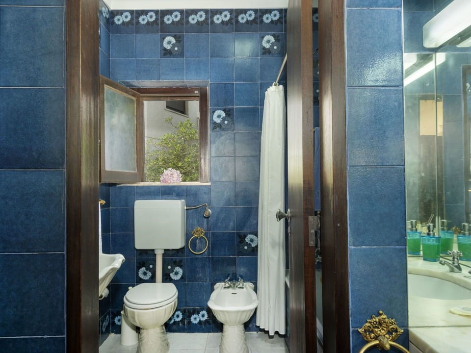 Bathroom, Blue, Property, Room, Plumbing Fixture, Toilet, Tile, Interior Design, Architecture, Building