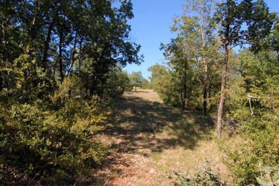 Garden, Park