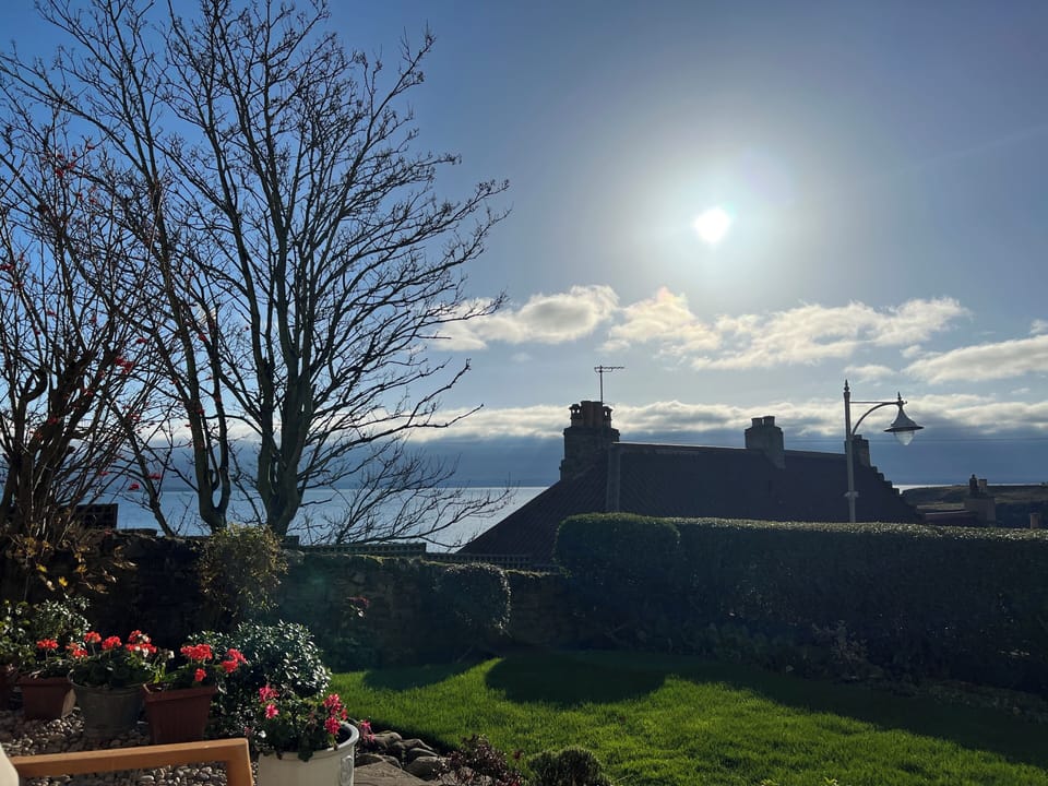 Views from the garden