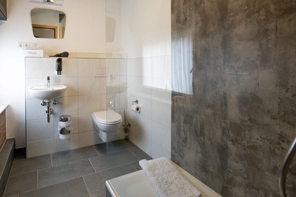 Comfort Double or Twin Room | Bathroom | Shower, free toiletries, hair dryer, towels
