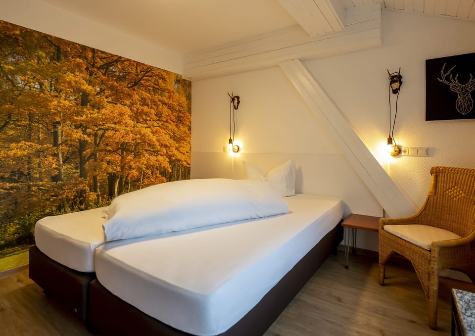 Comfort Double or Twin Room | Hypo-allergenic bedding available, desk, WiFi (free)