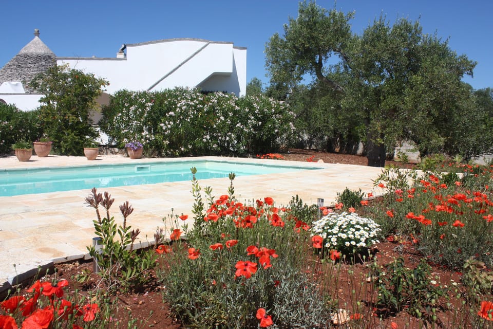 Colours of Puglia